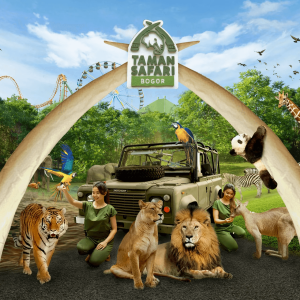 TMSAFARI